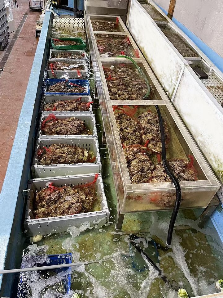 63 Silver Star Boulevard D20, Toronto E07, ON M1V 5E5