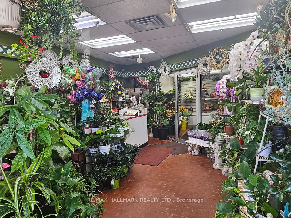 2373 Kingston Road, Toronto, ON M1N 1V1