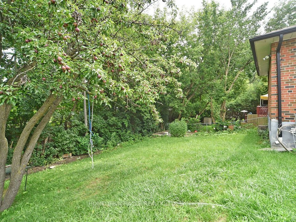 23 Tardree Place Main - U-1, Toronto, ON M1R 3X2 15