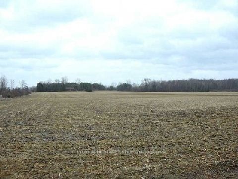 3329 11 Line, Bradford West Gwillimbury, ON L3Z 3N5