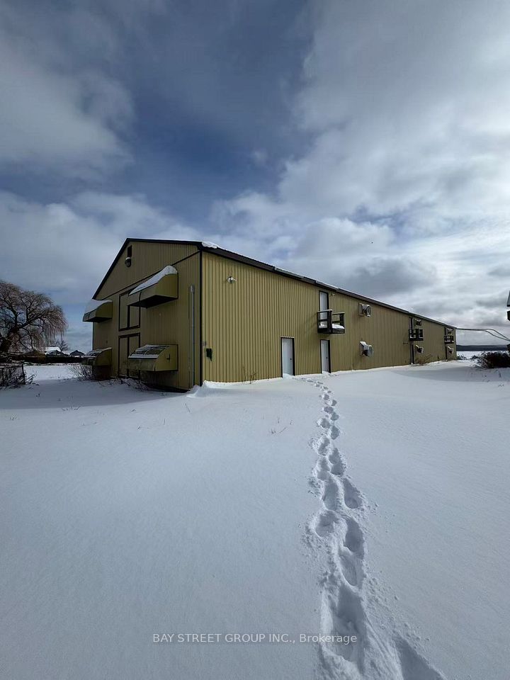 641 Canal Road Barn 4, Bradford West Gwillimbury, ON L3Z 2A6