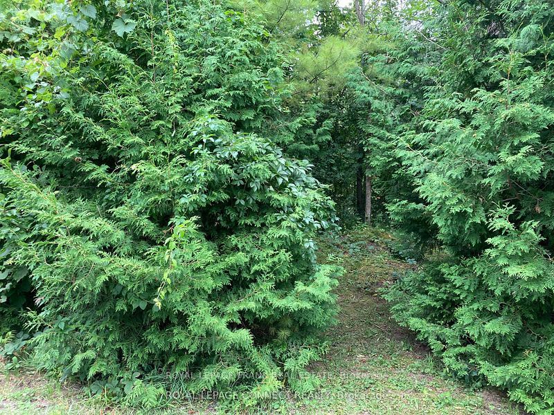 Vacant Land at 0 Pinecrest Road, Georgina, ON L0E 1N0, Georgina