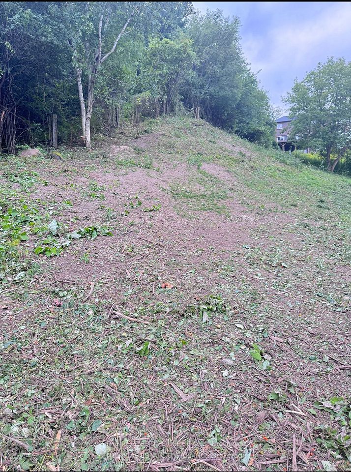 119 Stemmle Drive, Aurora, ON L4G 6N8