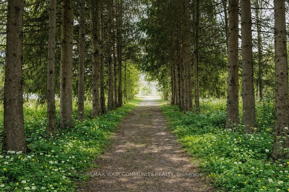 22772 Weirs Side Road, Georgina, ON L0C 1N0