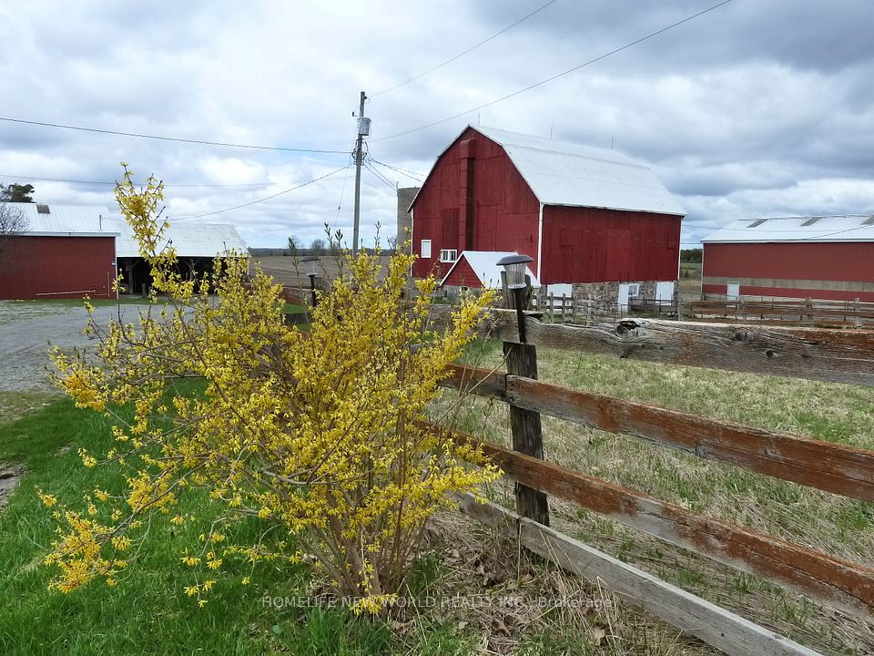 23702 Kennedy Road, Georgina, ON L0E 1R0