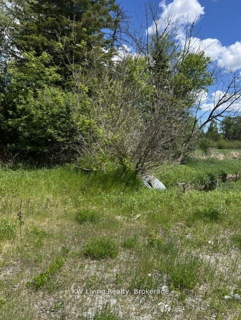20273 Highway 48 E, East Gwillimbury, ON L0G 1M0