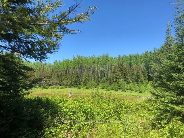 38.24 Acres in Ogden Township PCL 24640 N/A, Timmins, ON P4N 7C2