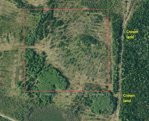 NE PART OF S LOT 1 CON 6 N/A, Timmins, ON P4N 2C7 at NE PART OF S LOT 1 CON 6 N/A, Timmins, ON P4N 2C7, Timmins, ON, P4N 2C7