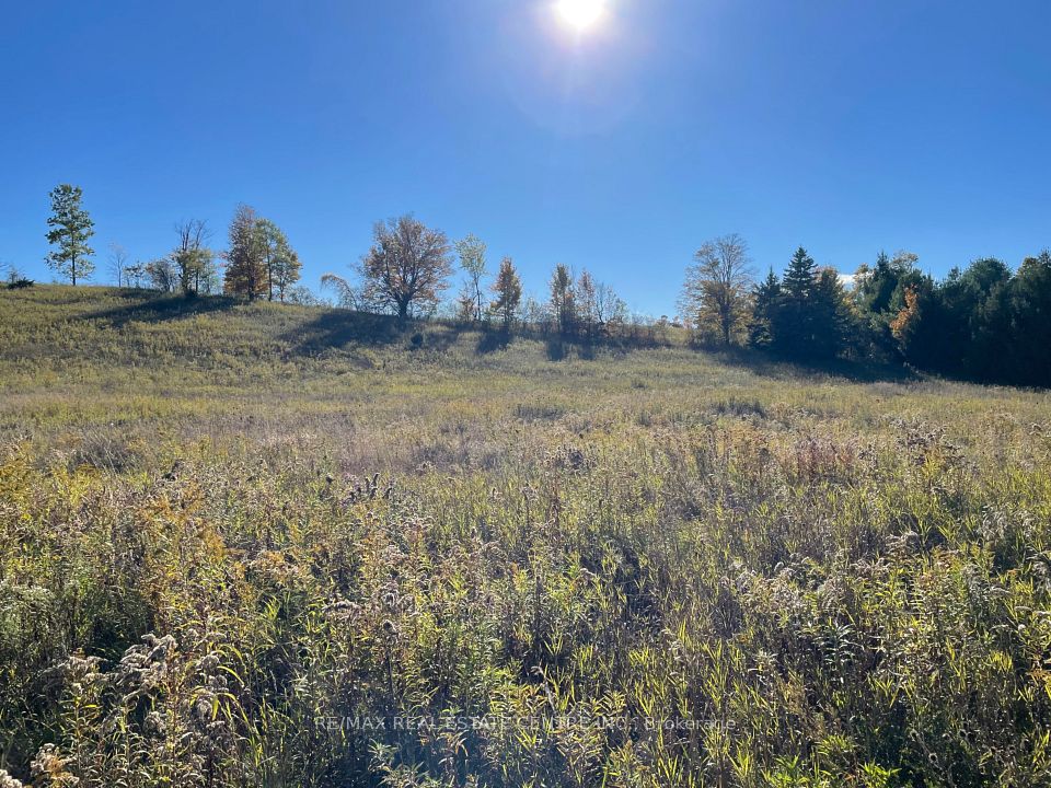 13062 Nassagaweya Esquesi, Townline, Milton, ON L7J 2W8