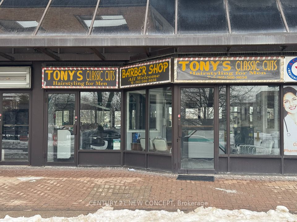 25 Agnes Street #2, Mississauga, ON L5B 3X7