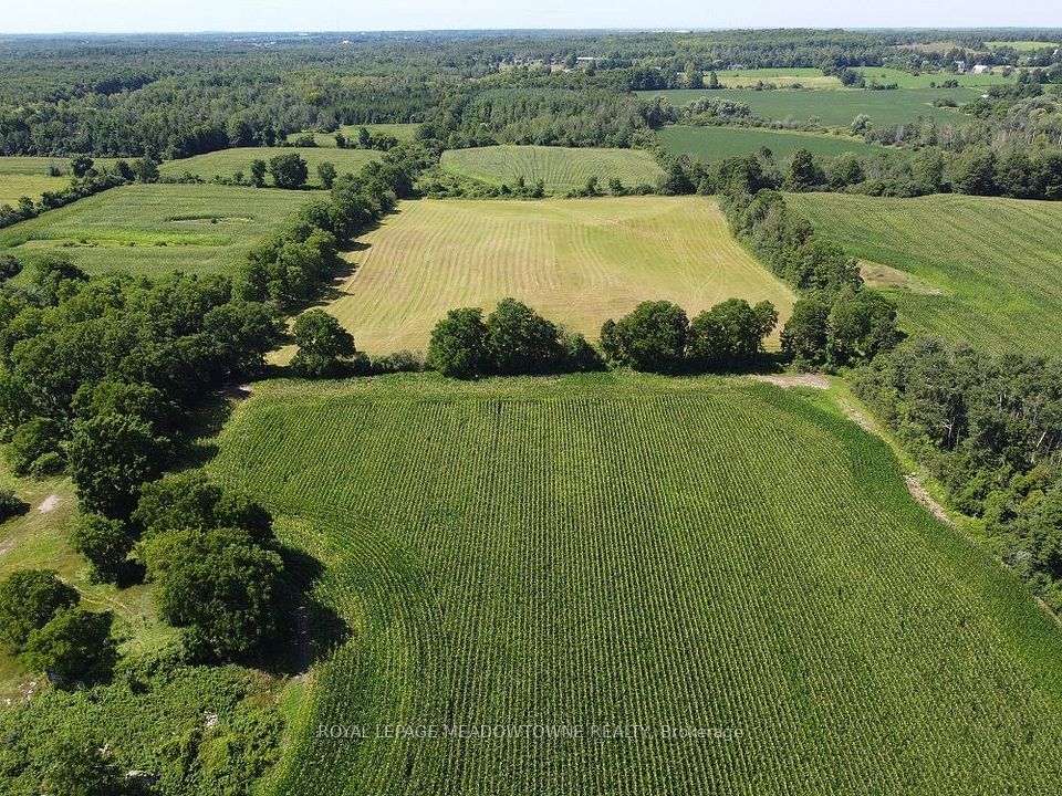 11080 First Line Nassagaweya, Milton, ON L0P 1J0