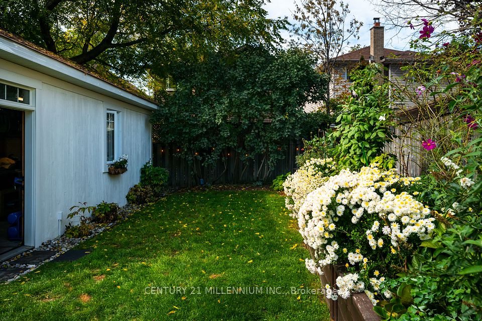 8 William Street, Brampton, ON L6V 1L2 25
