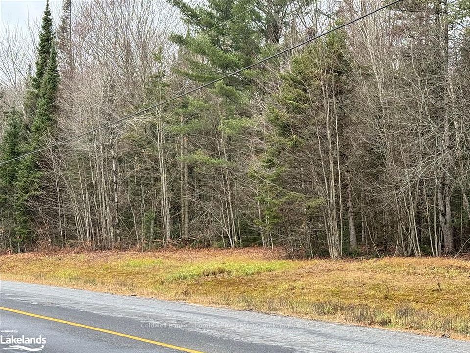 LOTS 1, 2 & 3 HIGHWAY 518 W N/A, McMurrich/Monteith, ON P0A 1Y0 at LOTS 1, 2 & 3 HIGHWAY 518 W N/A, McMurrich/Monteith, ON P0A 1Y0, McMurrich/Monteith, ON, P0A 1Y0