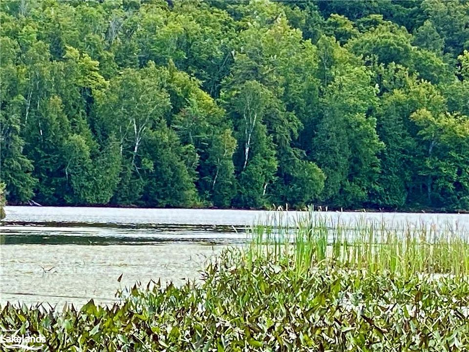 151 MAPLE Drive, Parry Sound Remote Area, ON P0H 1S0 at 151 MAPLE Drive, Parry Sound Remote Area, ON P0H 1S0, Parry Sound Remote Area, ON, P0H 1S0