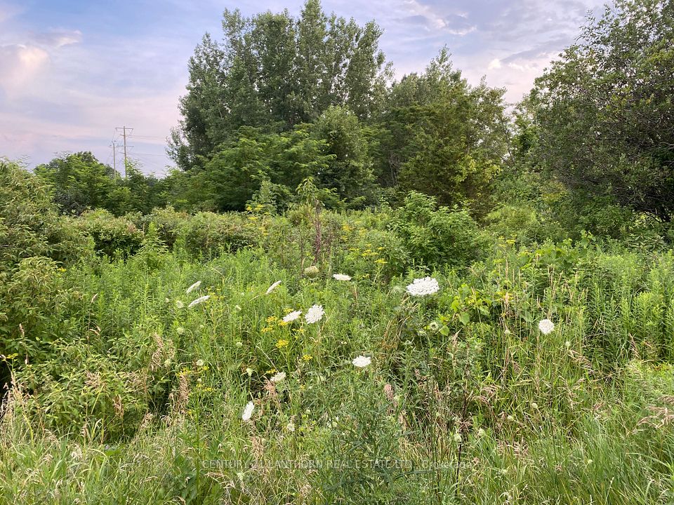 Lot 29 McDonald Drive, Prince Edward County, ON K0K 2T0