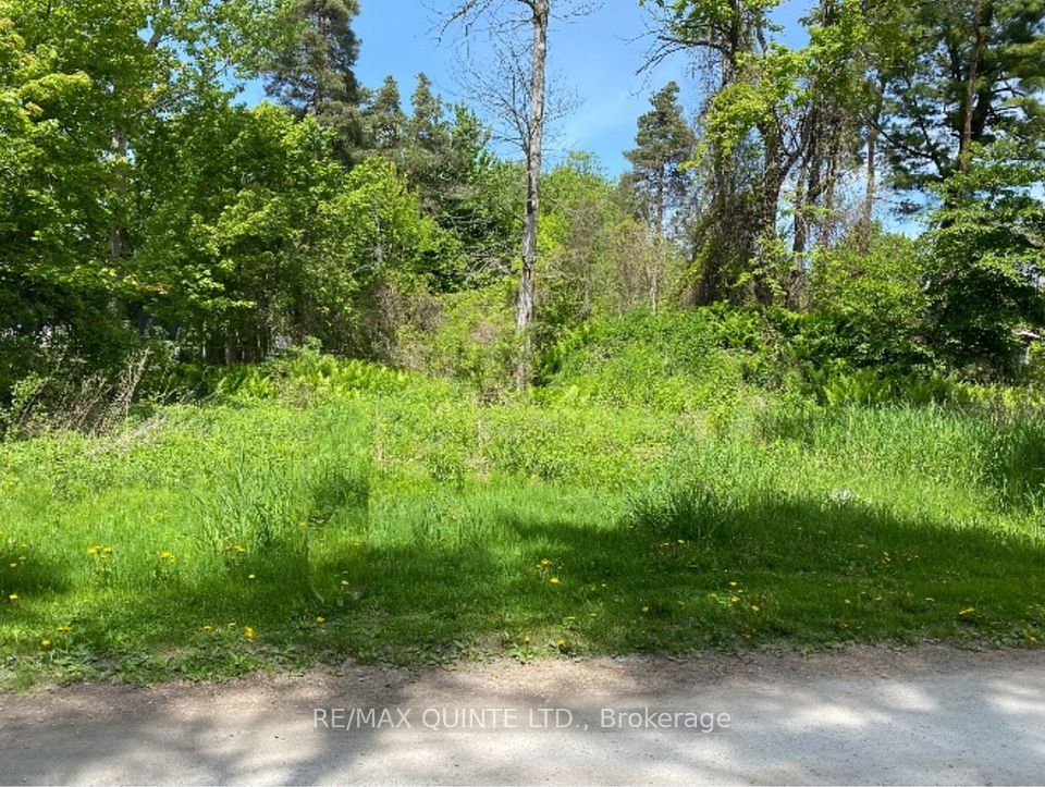 149 Evergreen Lane, Brighton, ON K0K 1H0 at 149 Evergreen Lane, Brighton, ON K0K 1H0, Brighton, ON, K0K 1H0