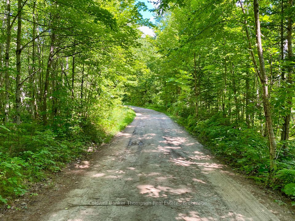 0 N Conc. RD 10 and 11 Concession N, Parry Sound Remote Area, ON P0H 1A0 at 0 N Conc. RD 10 and 11 Concession N, Parry Sound Remote Area, ON P0H 1A0, Parry Sound Remote Area, ON, P0H 1A0