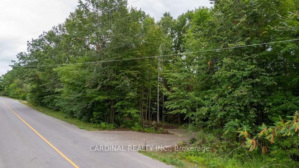 Part 1 Gully Road, Alnwick/Haldimand, ON K9A 4J8 at Part 1 Gully Road, Alnwick/Haldimand, ON K9A 4J8, Alnwick/Haldimand, ON, K9A 4J8