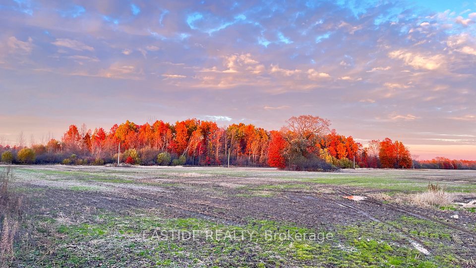 12880 Ort Road, Niagara Falls, ON L0S 1K0