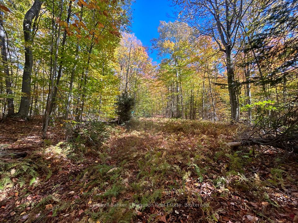 833 Hamilton Lake Road, Machar, ON P0A 1X0 at 833 Hamilton Lake Road, Machar, ON P0A 1X0, Machar, ON, P0A 1X0