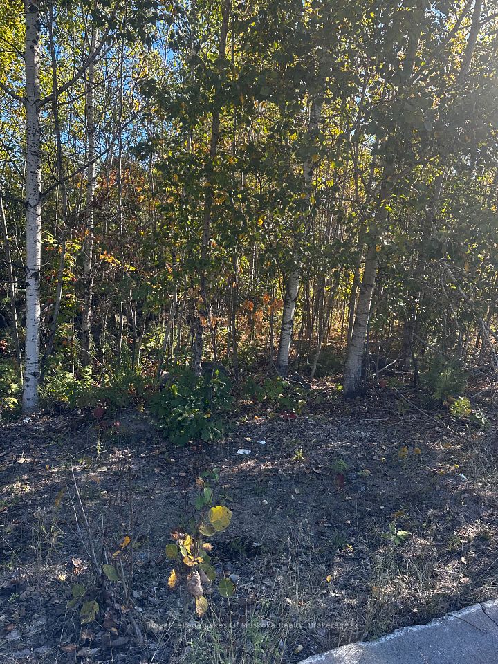 23 Freeland Drive, Gravenhurst, ON P1P 1Z6 at 23 Freeland Drive, Gravenhurst, ON P1P 1Z6, Gravenhurst, ON, P1P 1Z6
