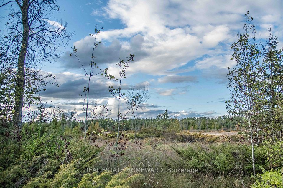 Lot 254 McGuire Beach Road, Kawartha Lakes, ON K0M 2B0 at Lot 254 McGuire Beach Road, Kawartha Lakes, ON K0M 2B0, Kawartha Lakes, ON, K0M 2B0