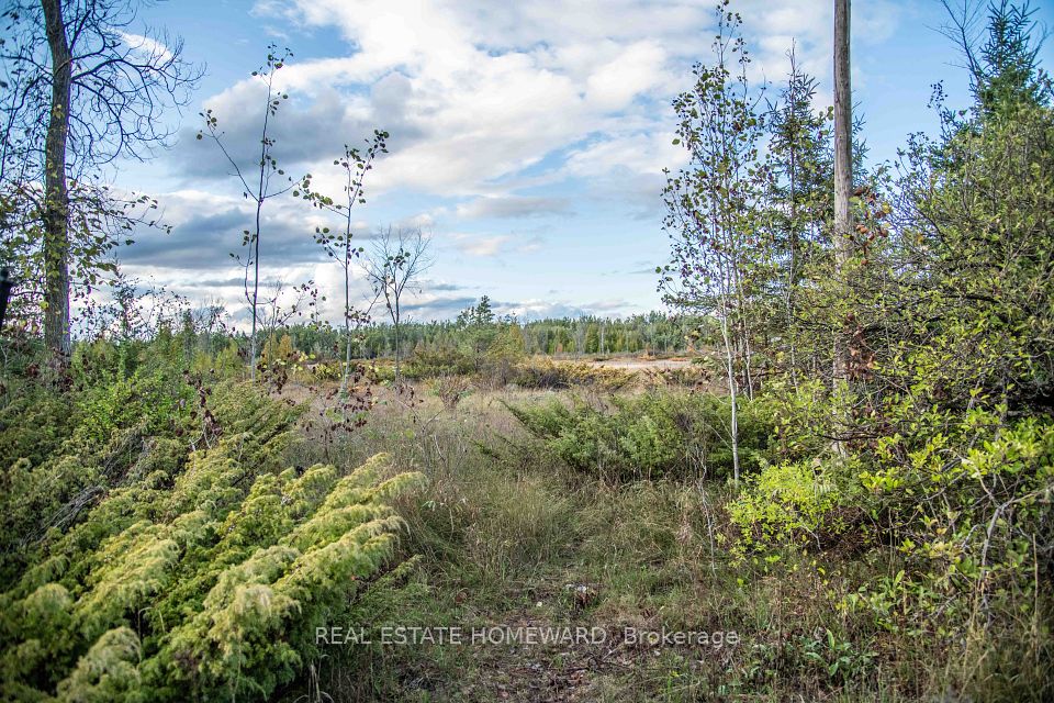 Lot 256 McGuire Beach Road, Kawartha Lakes, ON K0M 2B0 at Lot 256 McGuire Beach Road, Kawartha Lakes, ON K0M 2B0, Kawartha Lakes, ON, K0M 2B0