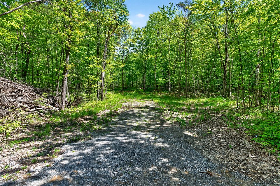 PT LTS 12 & 13 Devil Lake Road, South Frontenac, ON K0G 1X0 at PT LTS 12 & 13 Devil Lake Road, South Frontenac, ON K0G 1X0, South Frontenac, ON, K0G 1X0