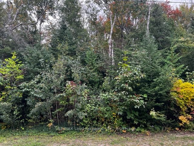 3 SHORE Road, Saugeen Shores, ON N0H 2L0 at 3 SHORE Road, Saugeen Shores, ON N0H 2L0, Saugeen Shores, ON, N0H 2L0