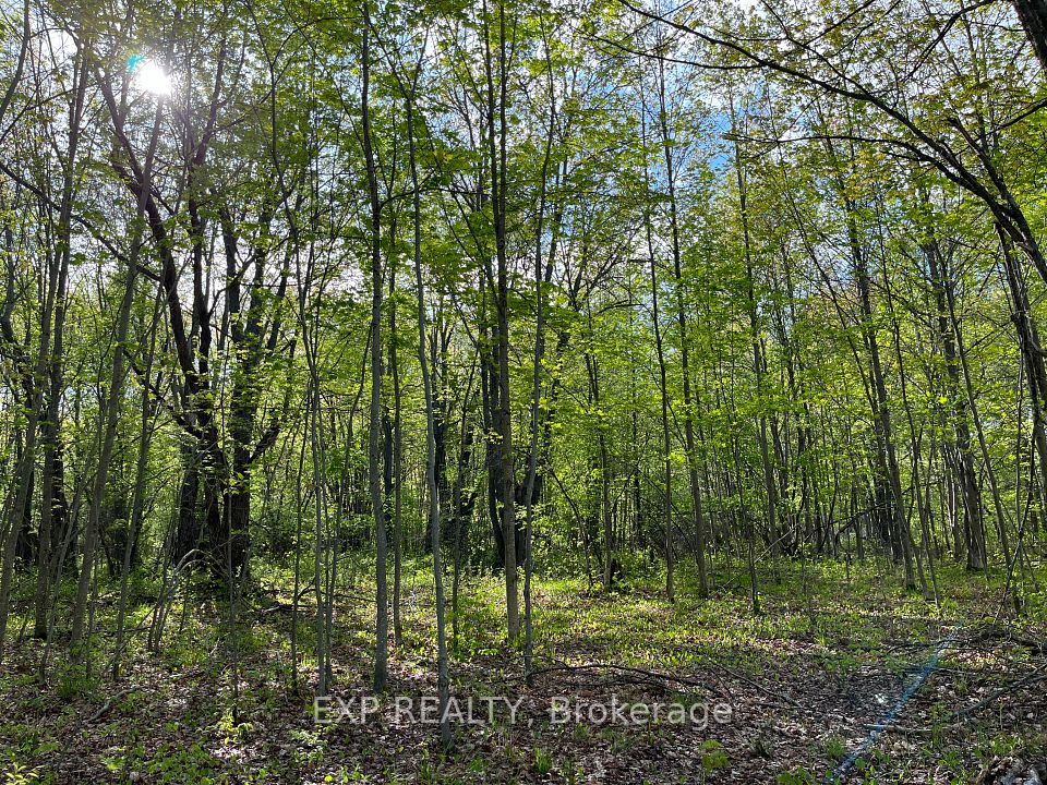 Lot 7 Casson Trail, Madawaska Valley, ON K0J 1B0 at Lot 7 Casson Trail, Madawaska Valley, ON K0J 1B0, Madawaska Valley, ON, K0J 1B0