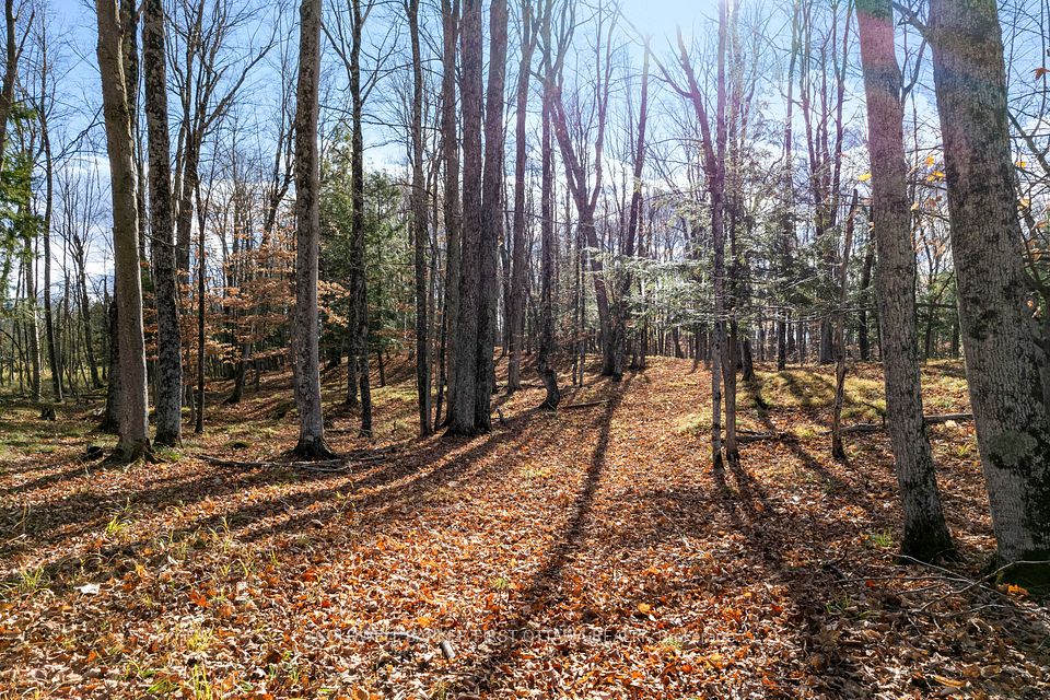 PT 2-00 Herron Mills Road, Lanark Highlands, ON K0G 1K0 at PT 2-00 Herron Mills Road, Lanark Highlands, ON K0G 1K0, Lanark Highlands, ON, K0G 1K0