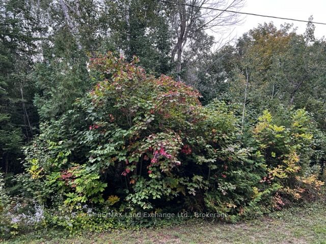 5 SHORE Road, Saugeen Shores, ON N0H 2L0 at 5 SHORE Road, Saugeen Shores, ON N0H 2L0, Saugeen Shores, ON, N0H 2L0