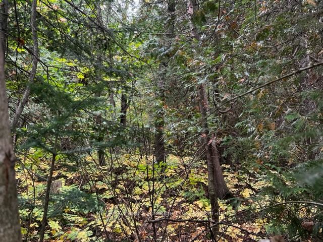 6 SHORE Road, Saugeen Shores, ON N0H 2L0 at 6 SHORE Road, Saugeen Shores, ON N0H 2L0, Saugeen Shores, ON, N0H 2L0
