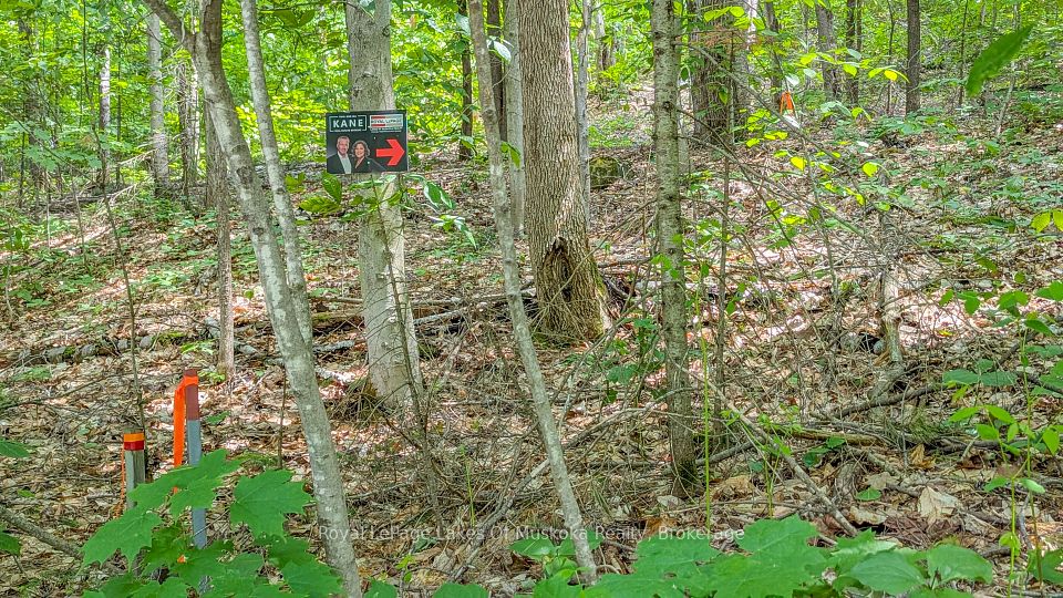 0 Rosseau Lake Rd 1, Muskoka Lakes, ON P0B 1M0 at 0 Rosseau Lake Rd 1, Muskoka Lakes, ON P0B 1M0, Muskoka Lakes, ON, P0B 1M0