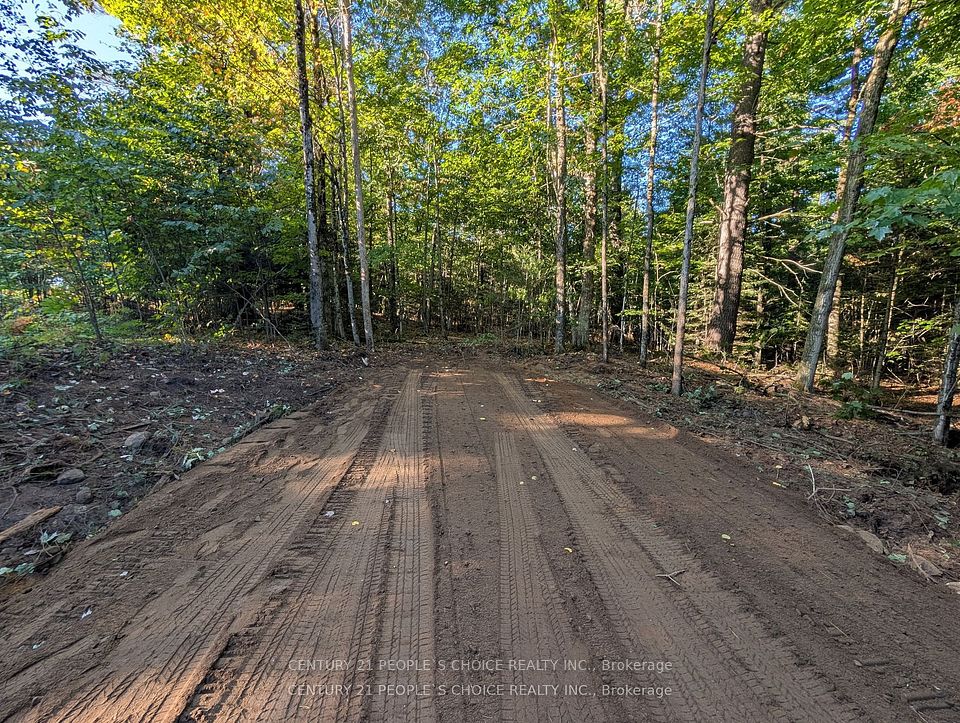 1055 W Porkys Road, Minden Hills, ON K0M 2K0 at 1055 W Porkys Road, Minden Hills, ON K0M 2K0, Minden Hills, ON, K0M 2K0