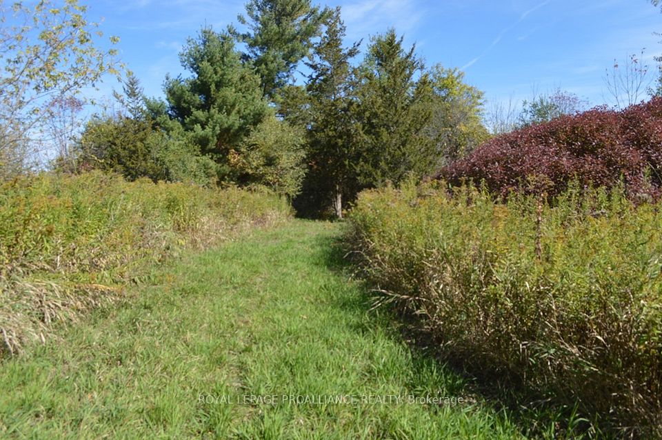 00 Scriver Road, Brighton, ON K0K 1H0 at 00 Scriver Road, Brighton, ON K0K 1H0, Brighton, ON, K0K 1H0