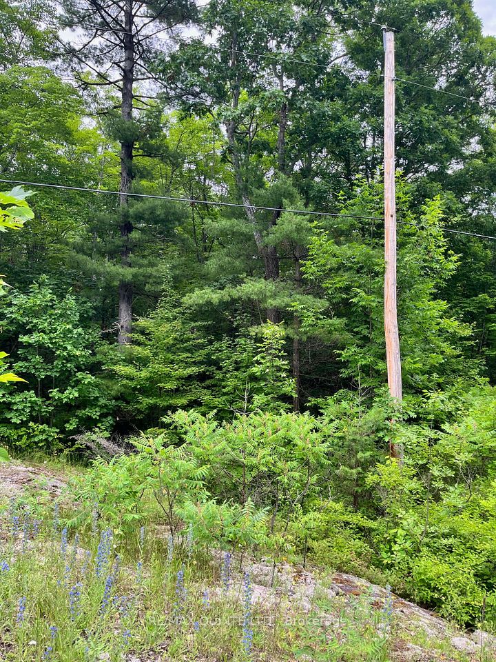 0 (PIN - 40264-0091) Potter Settlement Road, Tweed, ON K0K 3J0 at 0 (PIN - 40264-0091) Potter Settlement Road, Tweed, ON K0K 3J0, Tweed, ON, K0K 3J0