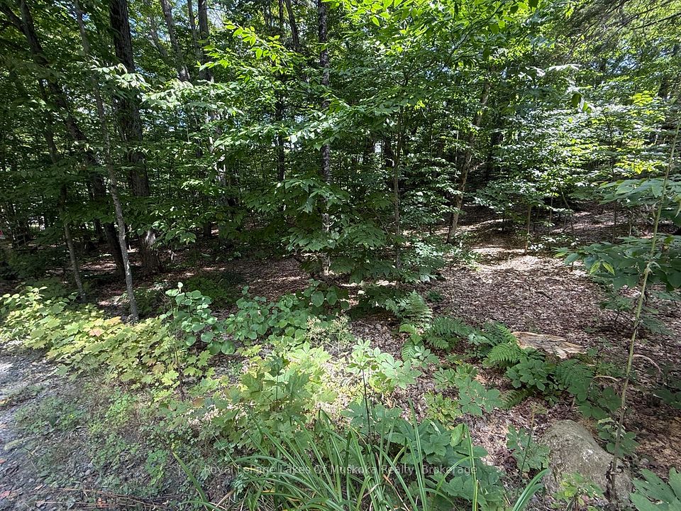 Lot 85 Brennan Circle, Huntsville, ON P1H 2J2 at Lot 85 Brennan Circle, Huntsville, ON P1H 2J2, Huntsville, ON, P1H 2J2