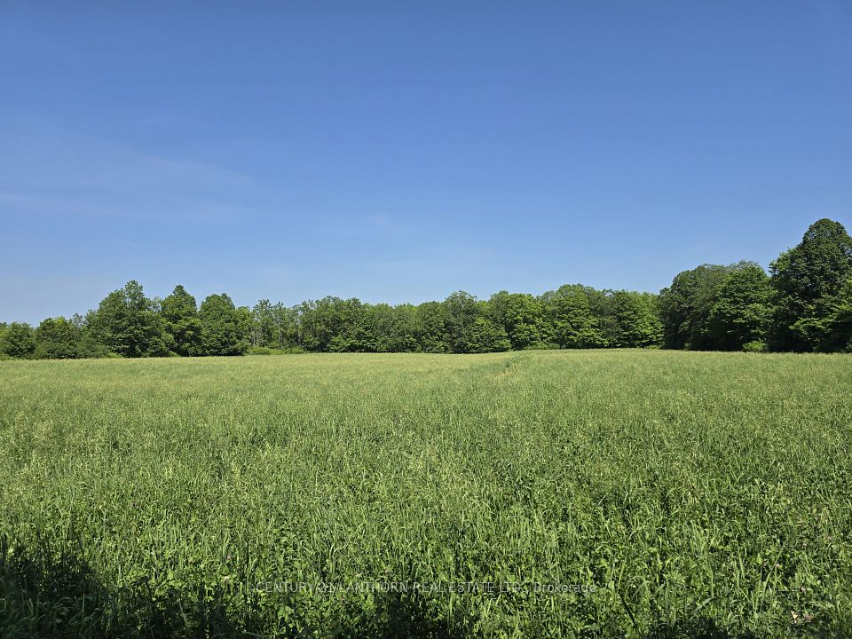 0 Shannonville Road, Tyendinaga, ON K0K 1V0 at 0 Shannonville Road, Tyendinaga, ON K0K 1V0, Tyendinaga, ON, K0K 1V0