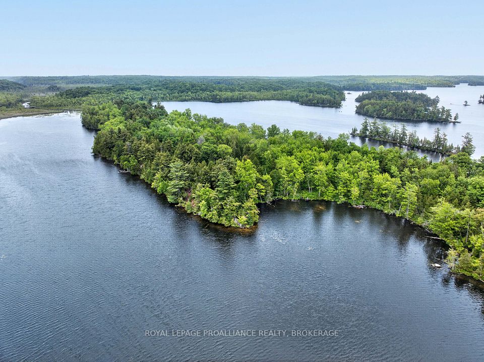 PT Island B Gracey's Island, Frontenac, ON K0H 2P0 at PT Island B Gracey's Island, Frontenac, ON K0H 2P0, Frontenac, ON, K0H 2P0