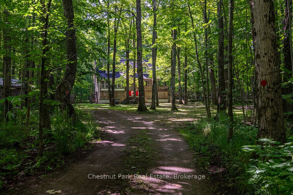 89 Tammys Cove Road, Northern Bruce Peninsula, ON N0H 1Z0 at 89 Tammys Cove Road, Northern Bruce Peninsula, ON N0H 1Z0, Northern Bruce Peninsula, ON, N0H 1Z0