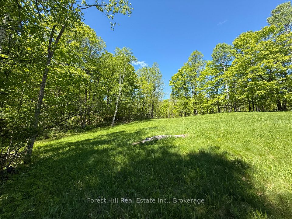 0 East Road, Parry Sound Remote Area, ON P0H 1S0 at 0 East Road, Parry Sound Remote Area, ON P0H 1S0, Parry Sound Remote Area, ON, P0H 1S0