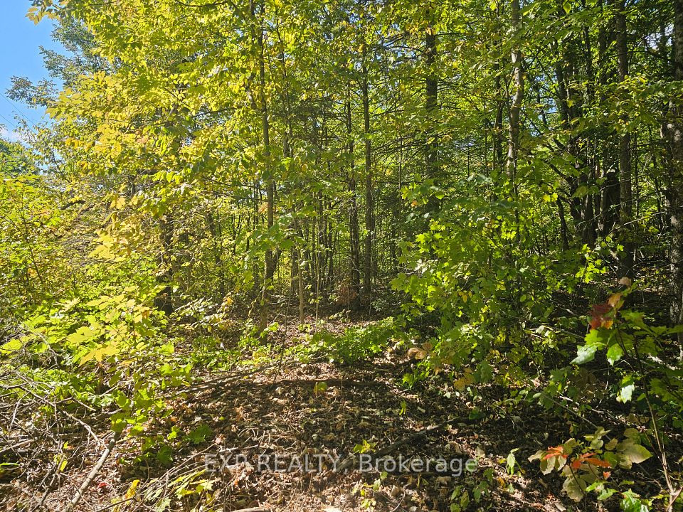 Part Lot 32 and 33 Part 2 Conc 1 Concession, Minden Hills, ON K0M 1X0 at Part Lot 32 and 33 Part 2 Conc 1 Concession, Minden Hills, ON K0M 1X0, Minden Hills, ON, K0M 1X0