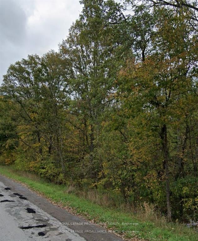 1222 Cooke Road Pt 1, Stirling-Rawdon, ON K0K 3E0 at 1222 Cooke Road Pt 1, Stirling-Rawdon, ON K0K 3E0, Stirling-Rawdon, ON, K0K 3E0