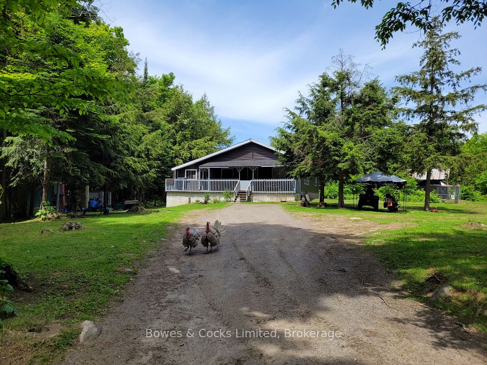 246 Hickey Trail, Hastings Highlands, ON K0L 1C0 at 246 Hickey Trail, Hastings Highlands, ON K0L 1C0, Hastings Highlands, ON, K0L 1C0