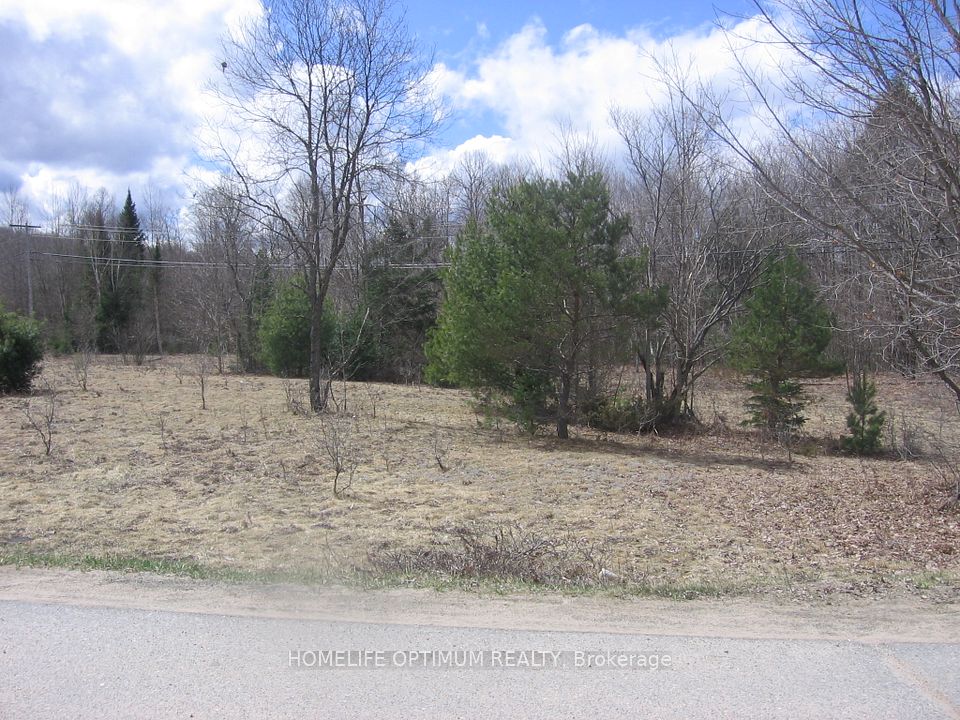 2.6 Acres Norley Drive, Algonquin Highlands, ON K0M 1S0 at 2.6 Acres Norley Drive, Algonquin Highlands, ON K0M 1S0, Algonquin Highlands, ON, K0M 1S0