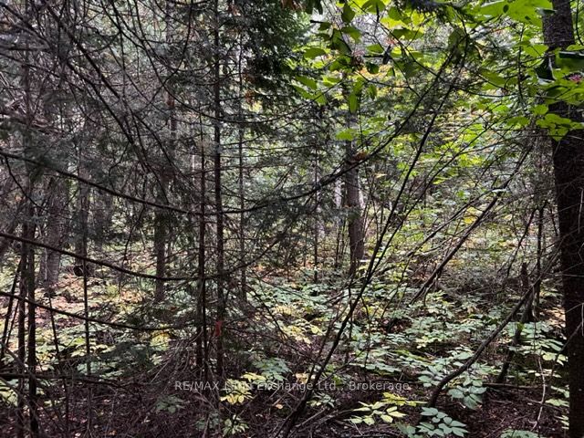 4 SHORE Road, Saugeen Shores, ON N0H 2L0 at 4 SHORE Road, Saugeen Shores, ON N0H 2L0, Saugeen Shores, ON, N0H 2L0