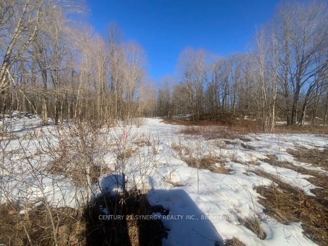 00 Lot 1 County  Rd 10 Road, Rideau Lakes, ON K0G 1X0 at 00 Lot 1 County  Rd 10 Road, Rideau Lakes, ON K0G 1X0, Rideau Lakes, ON, K0G 1X0