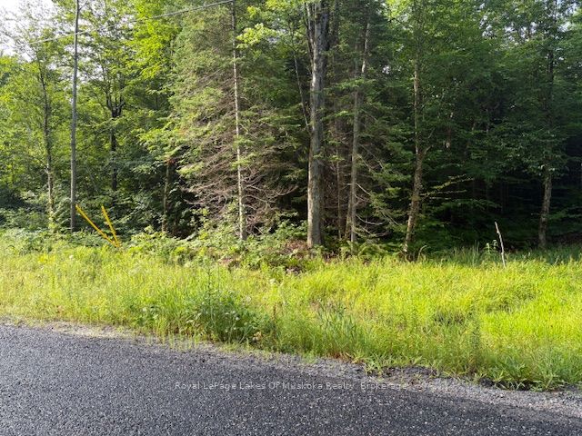 48 Summer Leigh Trail, Huntsville, ON P0B 1M0 at 48 Summer Leigh Trail, Huntsville, ON P0B 1M0, Huntsville, ON, P0B 1M0