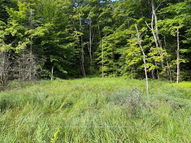 1788 Old Muskoka Road, Huntsville, ON P0B 1M0 at 1788 Old Muskoka Road, Huntsville, ON P0B 1M0, Huntsville, ON, P0B 1M0